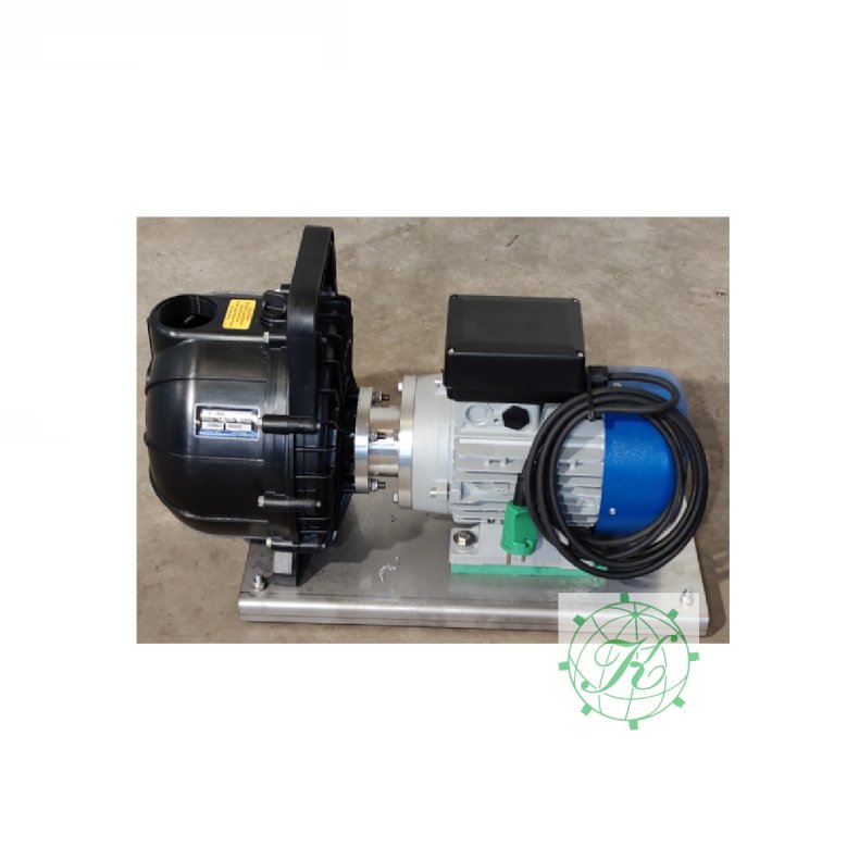 Pumpe 2" Kyndestoft 220V"